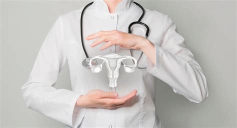 Miomas uterinos sintomas diagnóstico e abordagens de tratamento