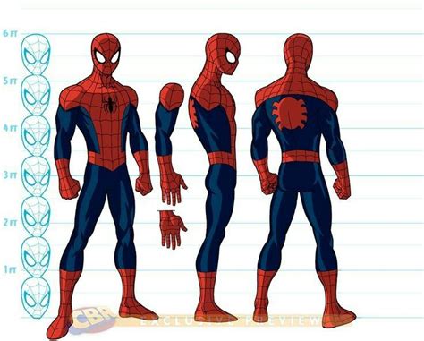 Spider Man Model Sheet Comics Spiderman Spiderman Characters Spiderman Drawing Spiderman