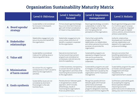 New Organisation Sustainability Maturity Matrix Insync