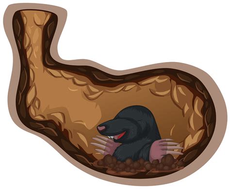 Mole Underground Cartoon