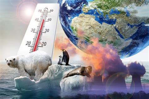 Climate Change Earth Set To Have Warmest Years Ever As Temperatures