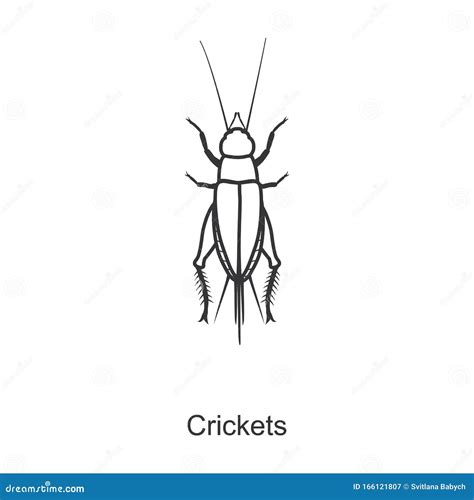 Insect Cricket Vector Iconline Vector Icon Isolated On White