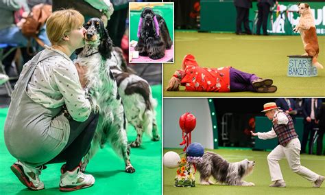 Crufts 2023 Results