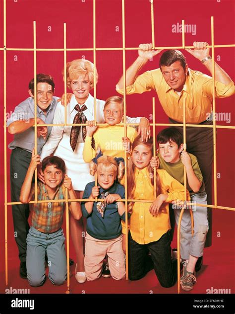 Robert Reed Florence Henderson Barry Williams Christopher Knight