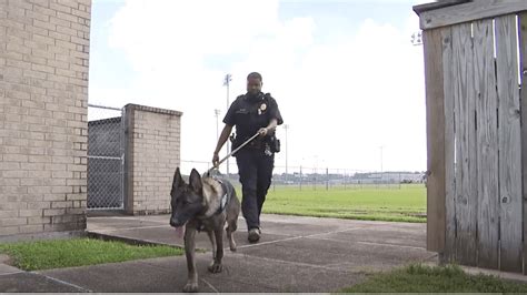 Beaumont Isd Gets Its First K9 Officer