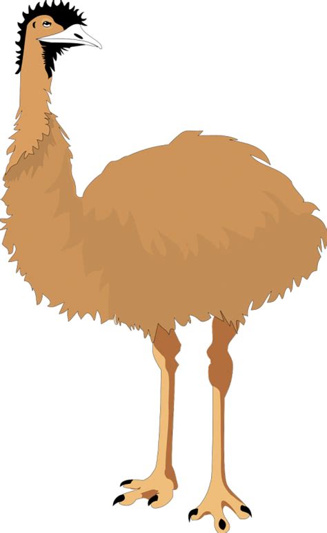 Emuneskraidantis Paukštisdidelis Emuuždarytigyvūnas Nemokamos