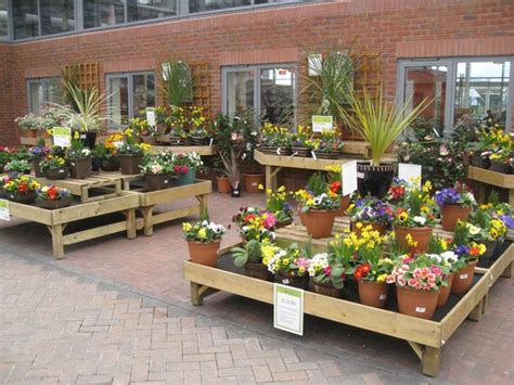 Indoor Plant Displays Picture Of Haskins Garden Centre Angmering