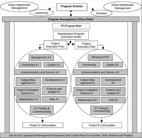 Program Management Definition Roles Responsibilities