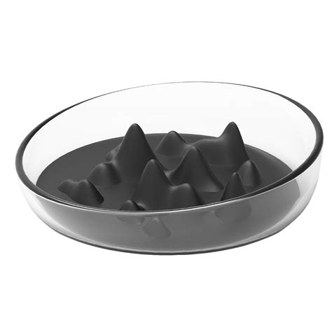 Pet Life Black 'Cirlicue' Slow Feed & Digestion Pet Bowl