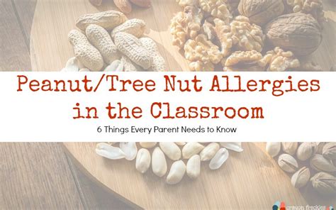 Peanutnut Allergies In The Classroom 6 Things Every Parent Needs To