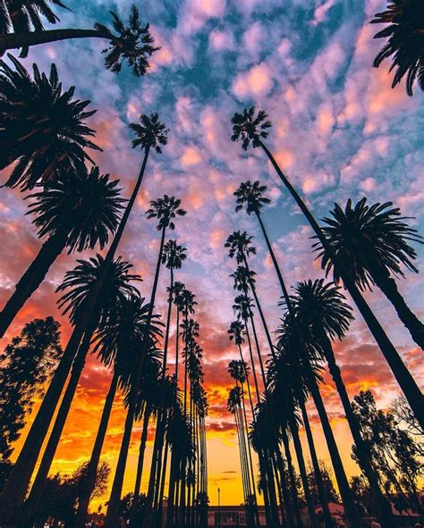 22 Best Los Angeles Sunsets Discoverla Images On