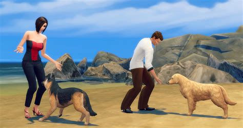 Accès Anticipé Les Sims 4 Chiens Et Chats Studiosims Creation