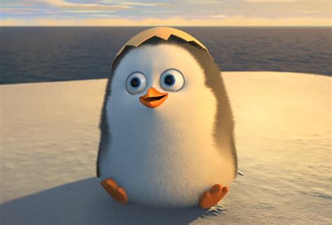 The penguin is black and white. BABY PRIVATE - Penguins of Madagascar Photo (37412623 ...
