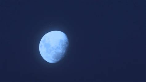 Pictures Of Sydney Moon