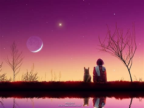 Gazing At The Sky Anime Wallpaper Star Sky Art Images