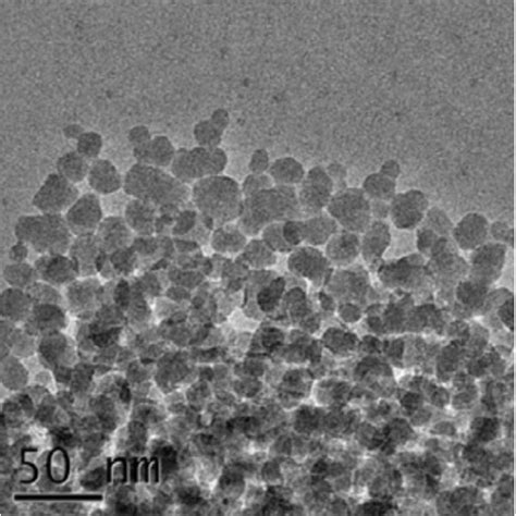 Sio2 Nanoparticles 20 Nm 50 Aqueous Suspension﻿ Plasmachem Gmbh