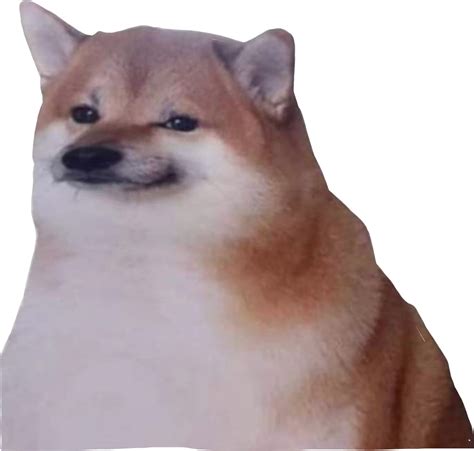 Freetoedit Dog Cheems Meme Sticker By Coronitaes