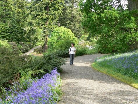 Dawyck Botanic Garden Peebles Parks Visitscotland