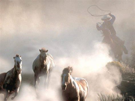 Horse Cowboys Western Animals Wallpapers Hd Desktop
