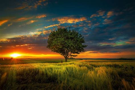 ❤ get the best hd wood background on wallpaperset. Summer Sunset Beautiful Outdoor Nature Splendor Landscape ...