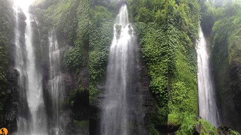 Be the first to discover secret destinations, travel hacks, and more. Jungle Sekumpul Waterfall Trekking || Bali Trekking Adventures