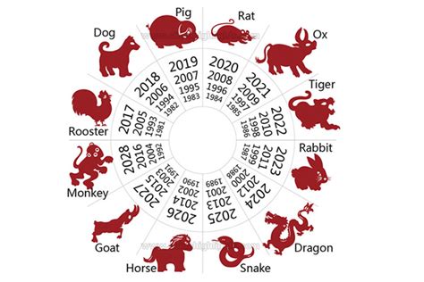 Chinese Zodiac The Great Animal Race The Multiliteracies Project