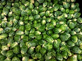Brussels Sprouts Picture | Free Photograph | Photos Public Domain