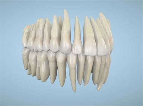Dental technician modeling new artificial dental implants for customer in clinic laboratory. Dental implants 3D Model FBX | CGTrader.com