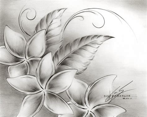 Love Something Like This For A Tattoo Pencil Drawings Of Flowers