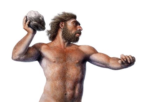 Neanderthal Throwing A Rock Photograph By Mauricio Anton Pixels