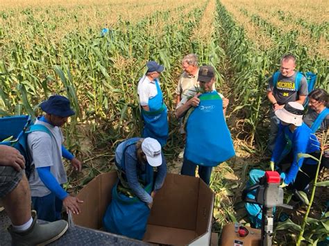 Our Story Healthy Harvest Food Bank