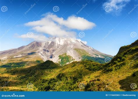 Mt St Helens Ford Pinchot National Forest Stock Image Image Of