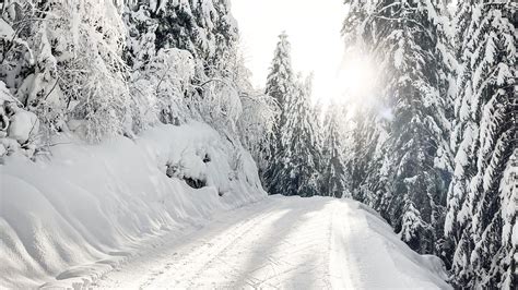 Download Wallpaper 2048x1152 Road Snow Trees Winter Snowy Ultrawide