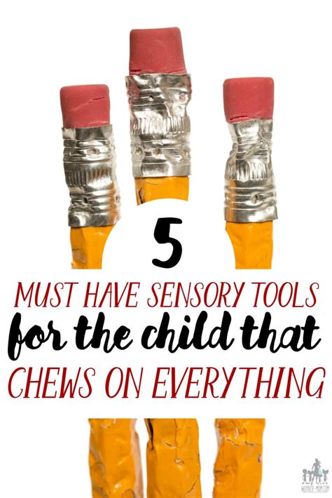 5 Awesome Sensory Tools For The Child That Chews On Everything