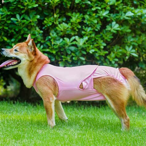 Dog Recovery Suitsurgical Onesie For Female Male Dogs Catspet