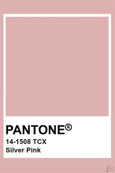 Pantone Silver Pink Pantone Pink Pantone Colour Palettes Pantone Color My Xxx Hot Girl