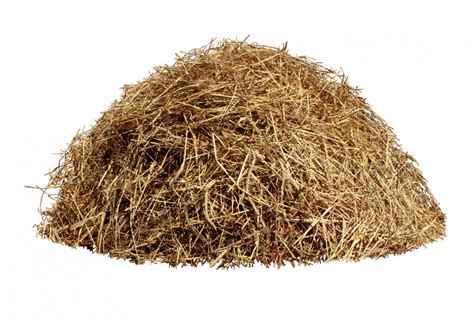 Hay 100g Albion Fine Foods Ltd