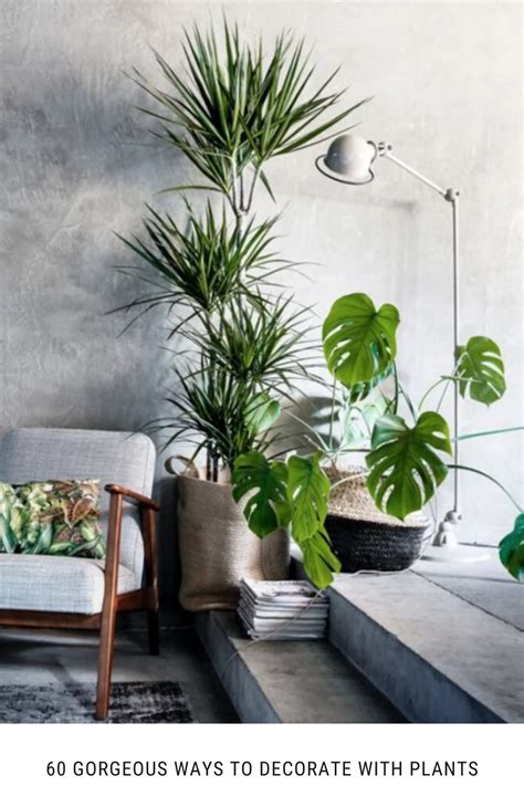 60 Gorgeous Ways To Decorate With Plants Plantas De Salón Soportes