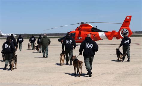 K 9 Training At Coast Guard Atlantic City News