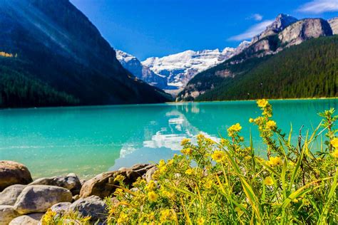 Lake Louise In Banff National Park In Alberta Is One Of The Most