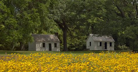Hardwood floors gleam throughout the unit. McLeod Plantation Historic Site | Charleston County Parks ...