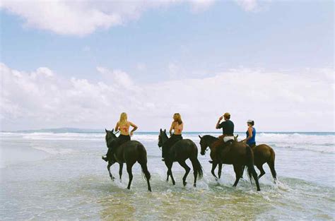 Noosa Sunshine Coast Horse Riding Holidays And Safaris