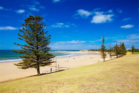 Torquay Main Beach In Australia Stock Image Image Of Travel Grass