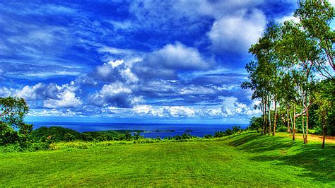 Green Trees Grass Field Landscape View Of Ocean Under White Clouds Blue