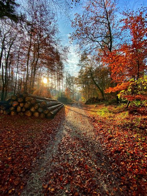 Herbstsonne Auf Dem Hermannsweg In Hörste Foto And Bild Jahreszeiten