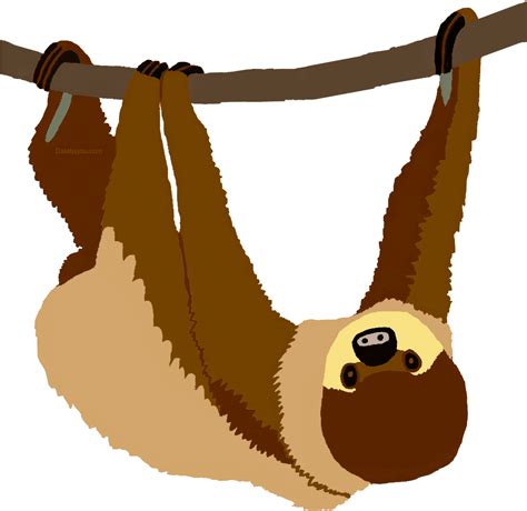 Two-toed Sloth Clipart - Full Size Clipart (#5562687) - PinClipart png image