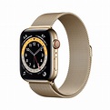 Apple Watch Series 6 GPS + Cellular, 44mm Gold Stainless Steel Case ...