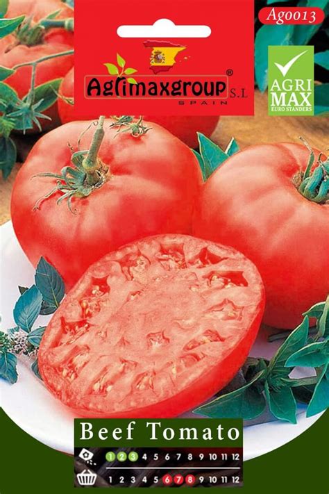 Beef Tomatoes Agrimax Seeds Buy Online In Uaegreen Souq Uae