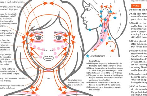 Lymph Drainage Gua Sha Facial Chart Ubicaciondepersonascdmxgobmx