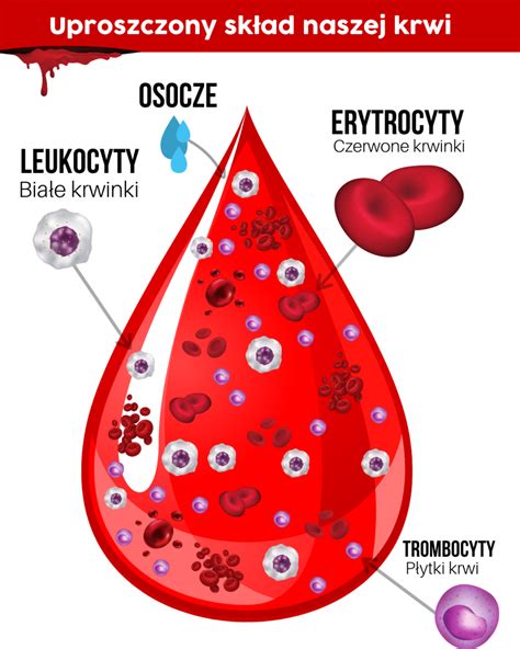 To badanie pokaże czy twoje ciało jest zdrowe Morfologia krwi jakie